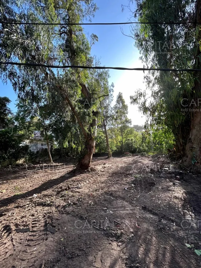 Terreno en San Rafael, propiedad 279357 -Imagen 3