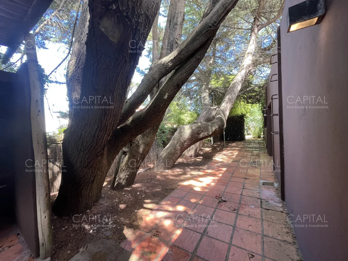 Casa en San Rafael, propiedad 279358 -Imagen 23