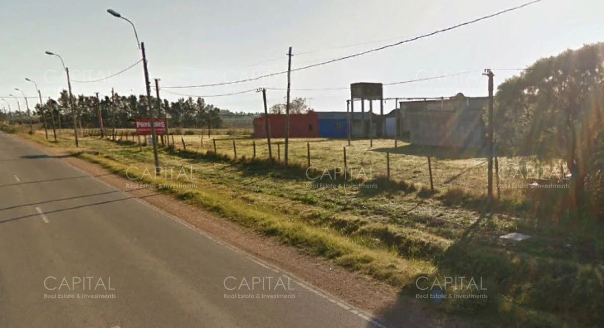 Depósito en Montevideo, propiedad 279426 -Imagen 2