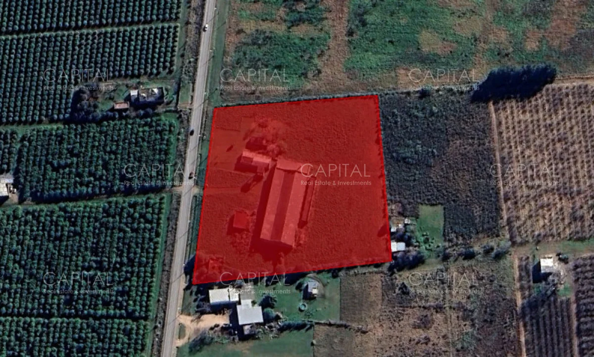 Depósito en Montevideo, propiedad 279426 -Imagen 6