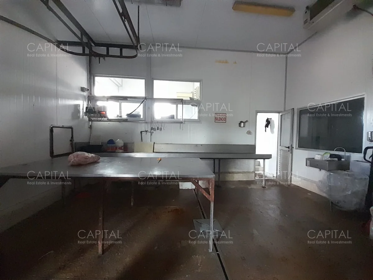 Local en Maldonado, propiedad 279430 -Imagen 11