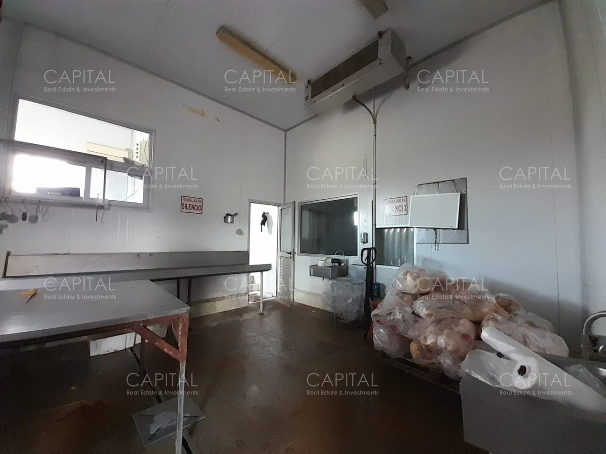 Local en Maldonado, propiedad 279430 -Imagen 12