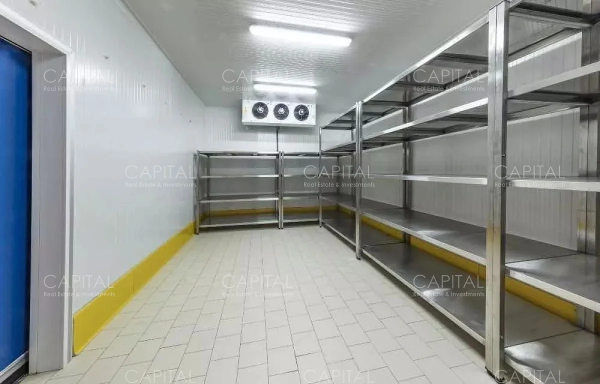 Local en Maldonado, propiedad 279430 -Imagen 4