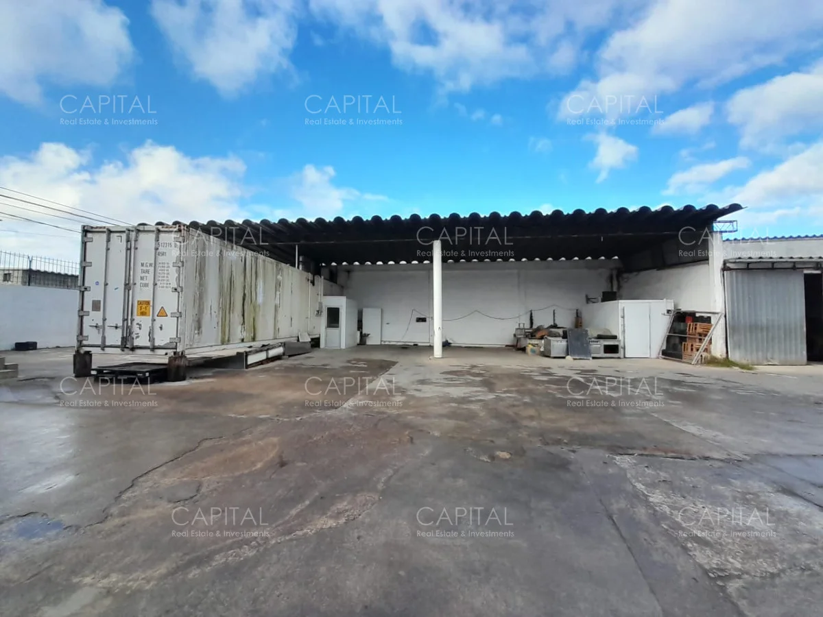 Local en Maldonado, propiedad 279430 -Imagen 5