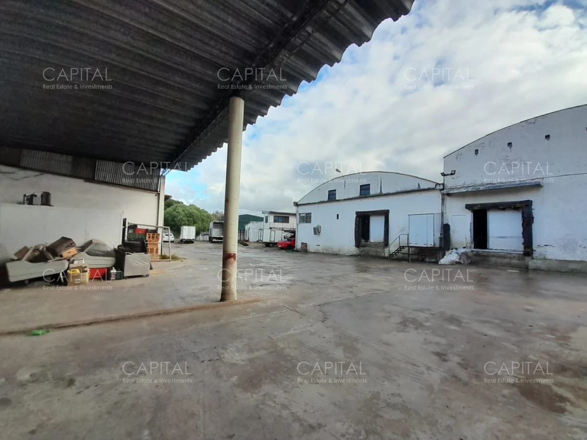 Local en Maldonado, propiedad 279430 -Imagen 6