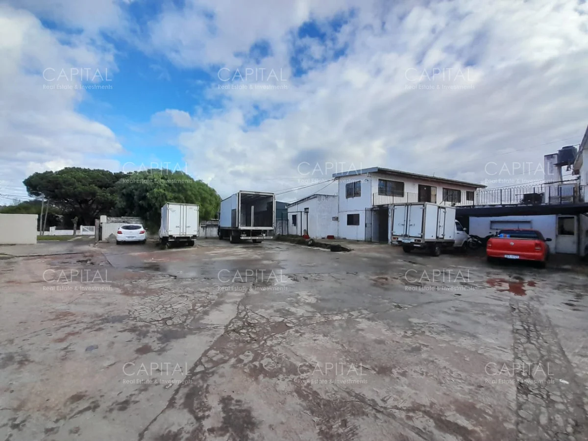 Local en Maldonado, propiedad 279430 -Imagen 8