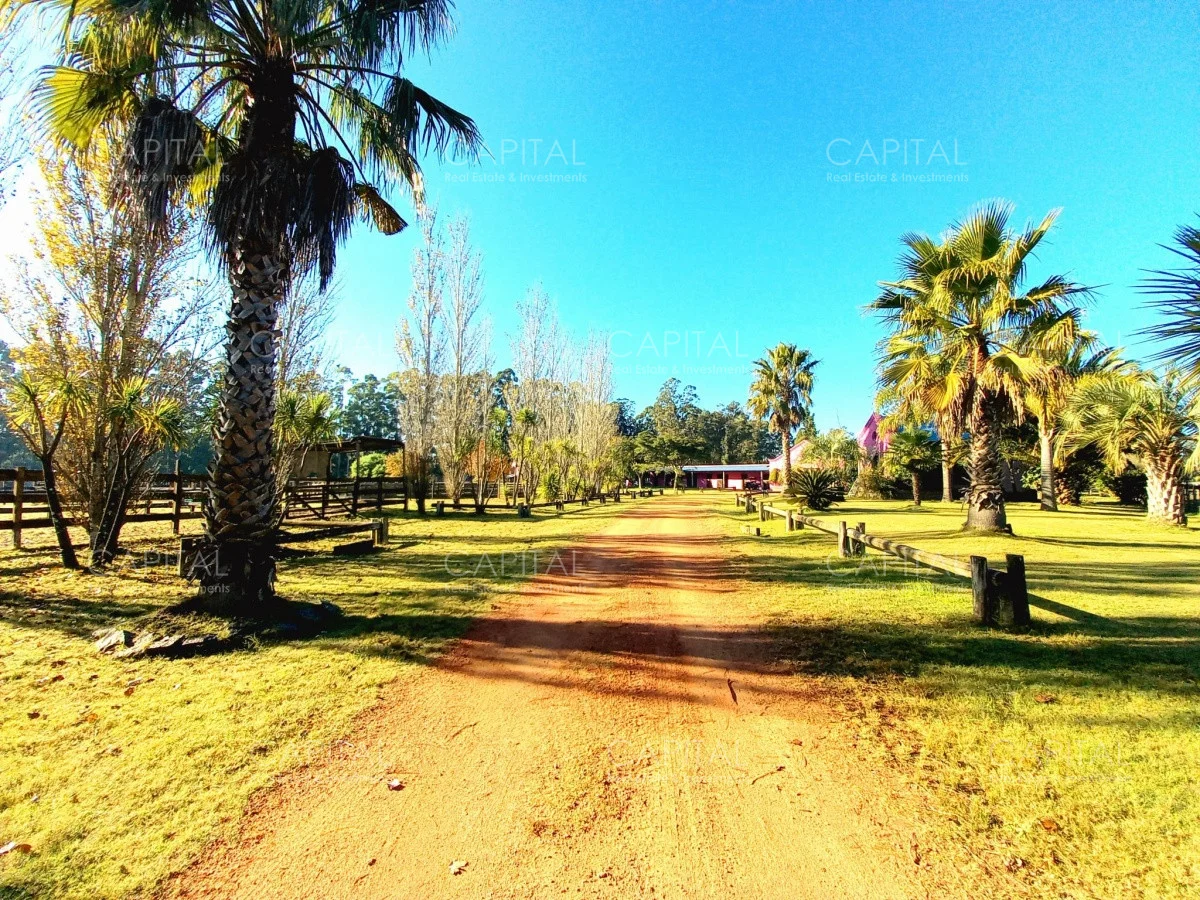 Casa en Punta Ballena, propiedad 279465 -Imagen 2