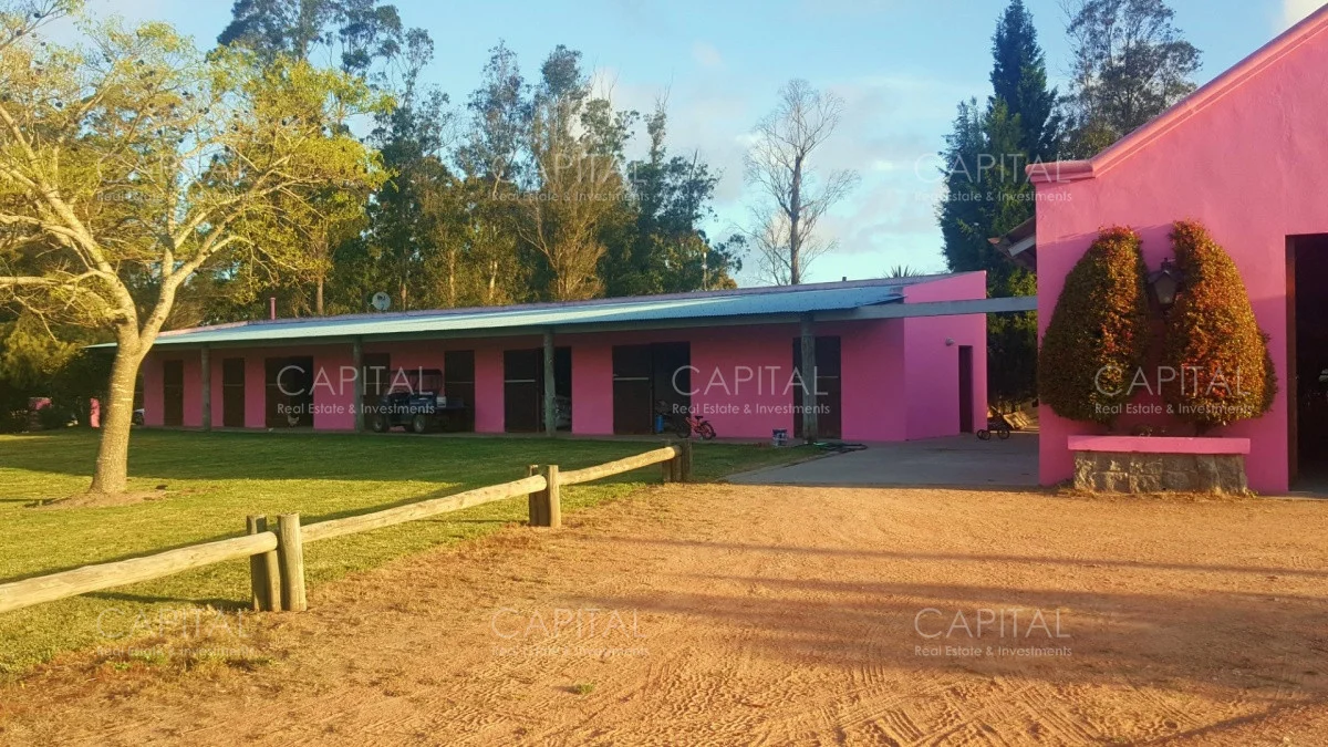 Casa en Punta Ballena, propiedad 279465 -Imagen 18