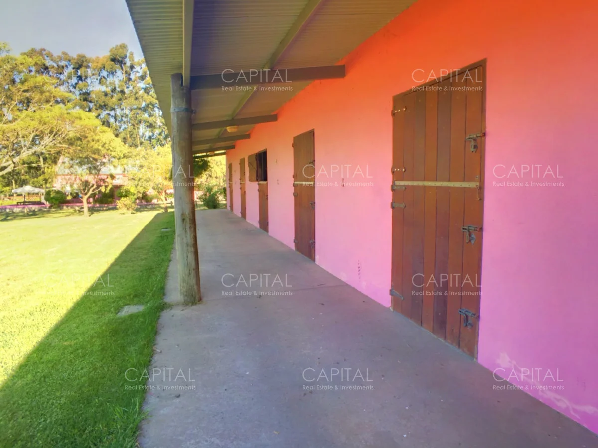 Casa en Punta Ballena, propiedad 279465 -Imagen 19