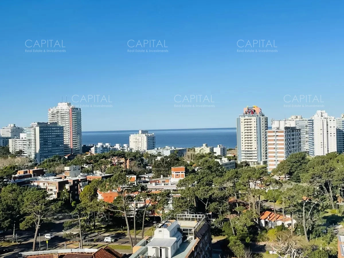 Terreno en Punta del Este, propiedad 279469 -Imagen 3