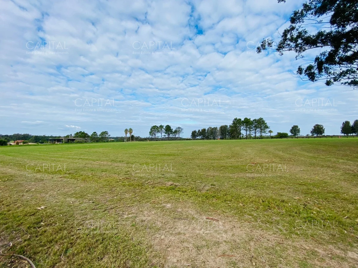 Terreno en Manantiales, propiedad 279477 -Imagen 2