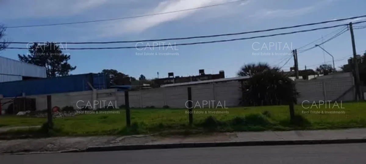 Terreno en Centro, propiedad 279482 -Imagen 5