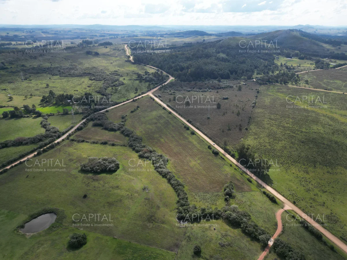 Chacra en Punta Ballena, propiedad 279514 -Imagen 2