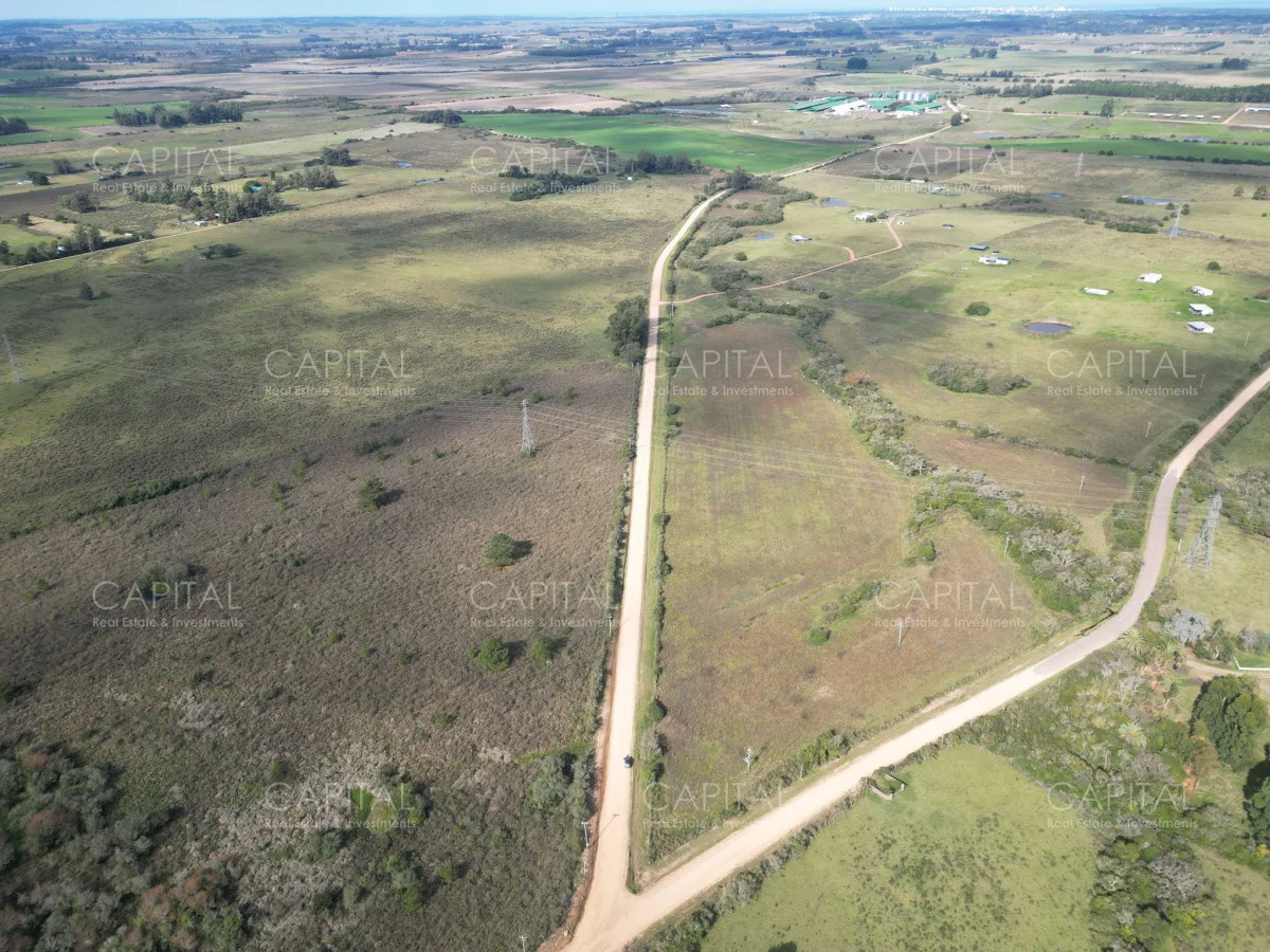 Chacra en Punta Ballena, propiedad 279514 -Imagen 3