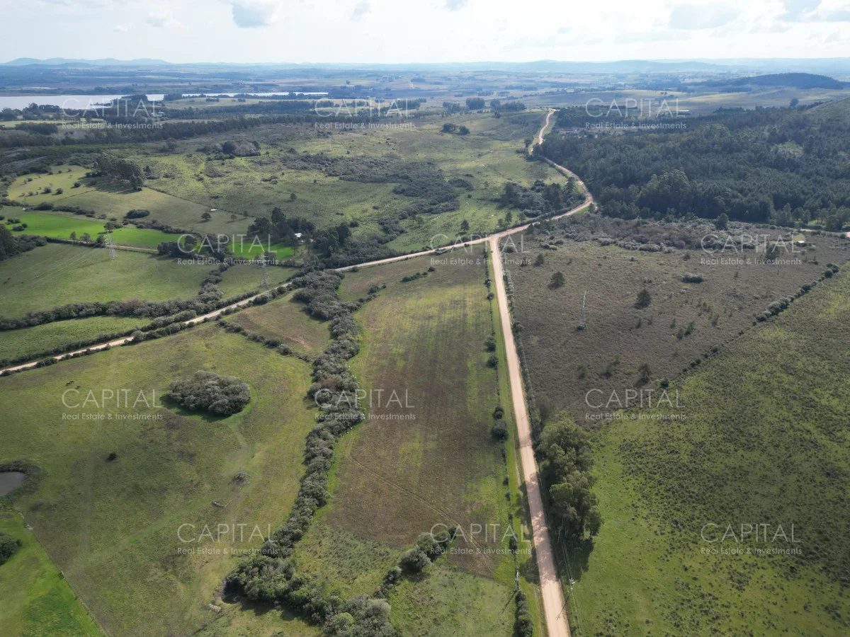 Chacra en Punta Ballena, propiedad 279514 -Imagen 4