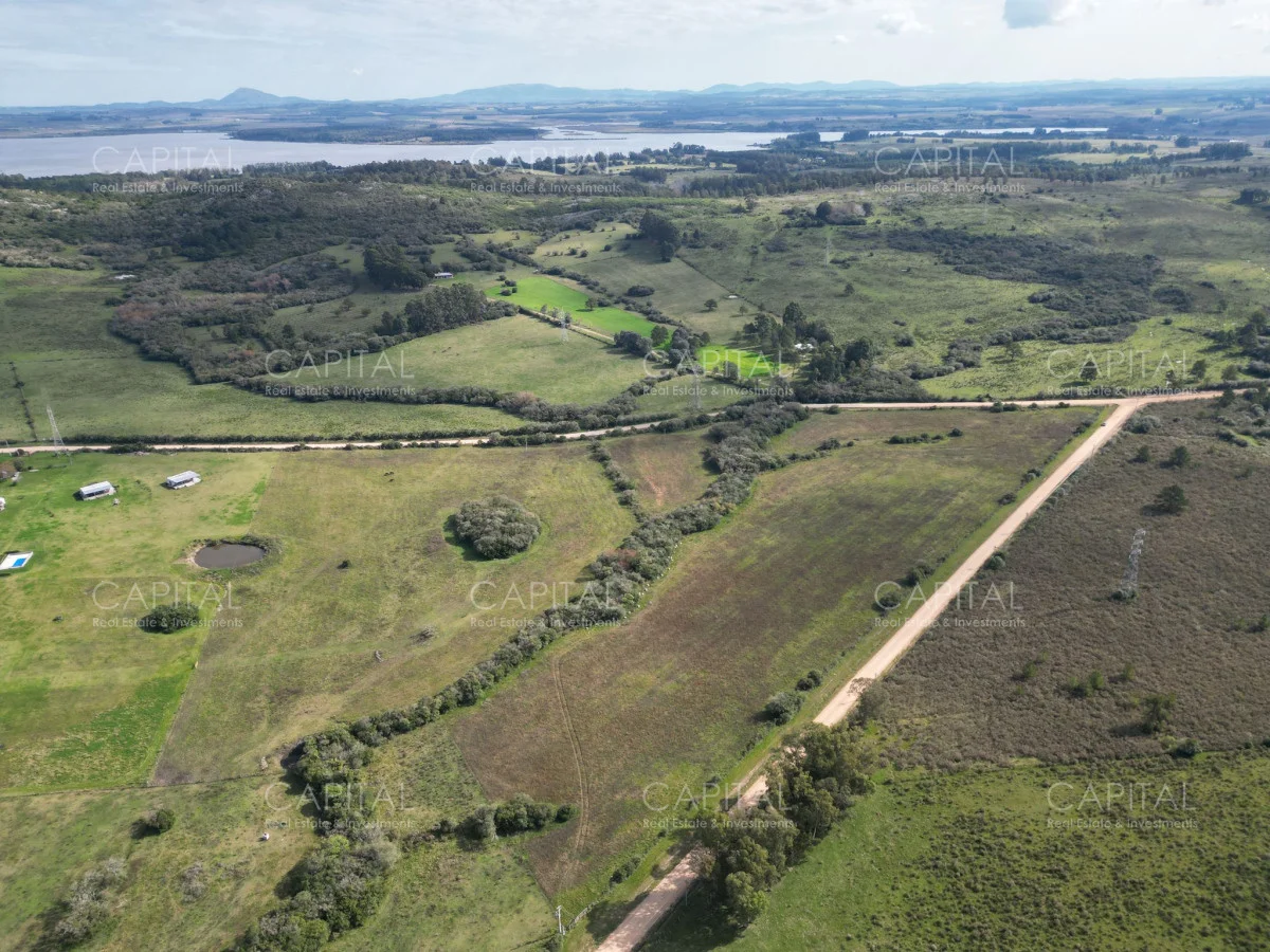 Chacra en Punta Ballena, propiedad 279514 -Imagen 5