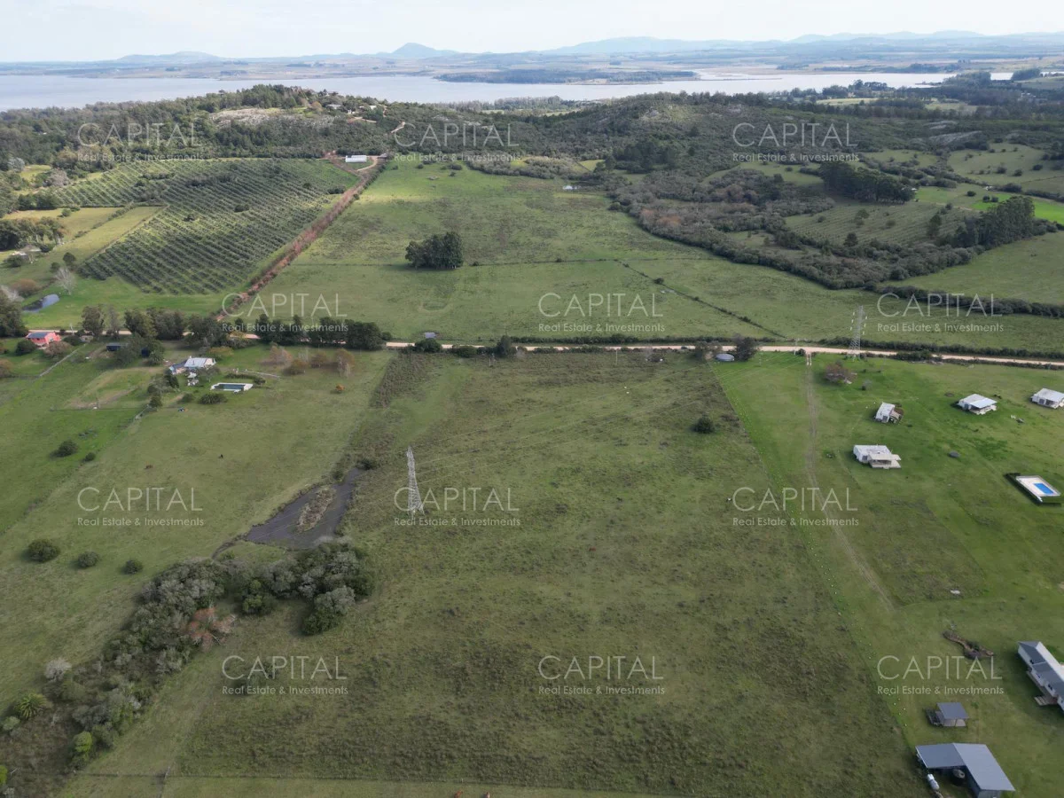Chacra en Laguna del Sauce, propiedad 279515 -Imagen 6