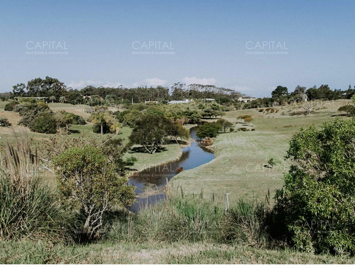 Terreno en San Vicente, propiedad 279530 -Imagen 1