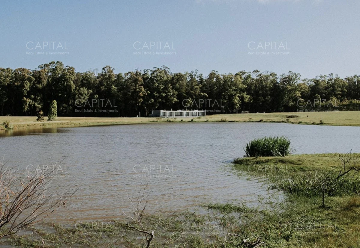 Terreno en San Vicente, propiedad 279530 -Imagen 3