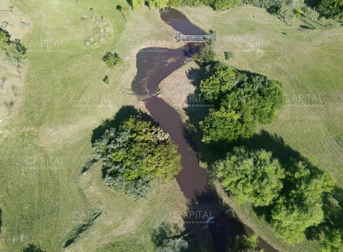 Terreno en San Vicente, propiedad 279530 -Imagen 4
