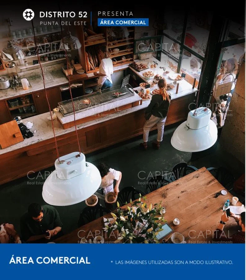 Terreno en Punta del Este, propiedad 279562 -Imagen 8
