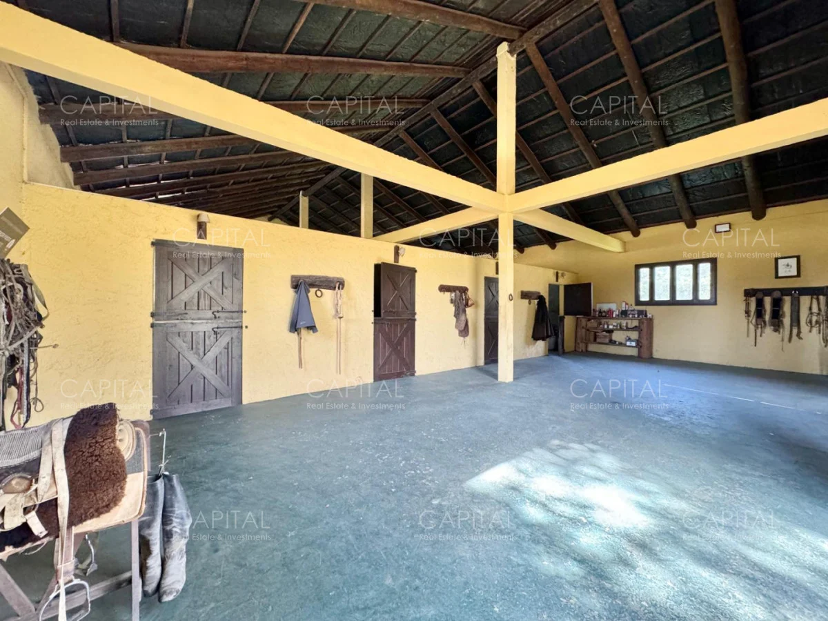 Chacra en Punta Ballena, propiedad 279565 -Imagen 12