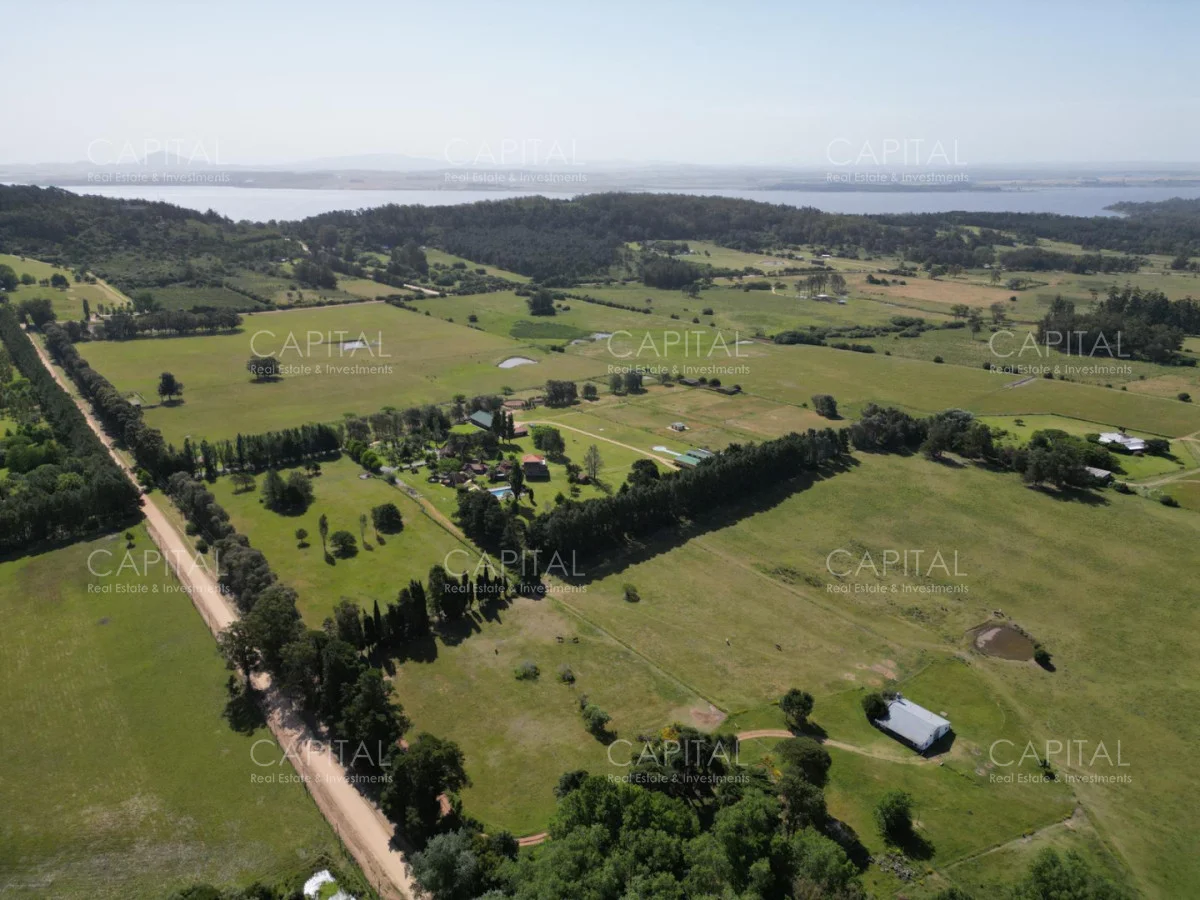 Chacra en Punta Ballena, propiedad 279565 -Imagen 20