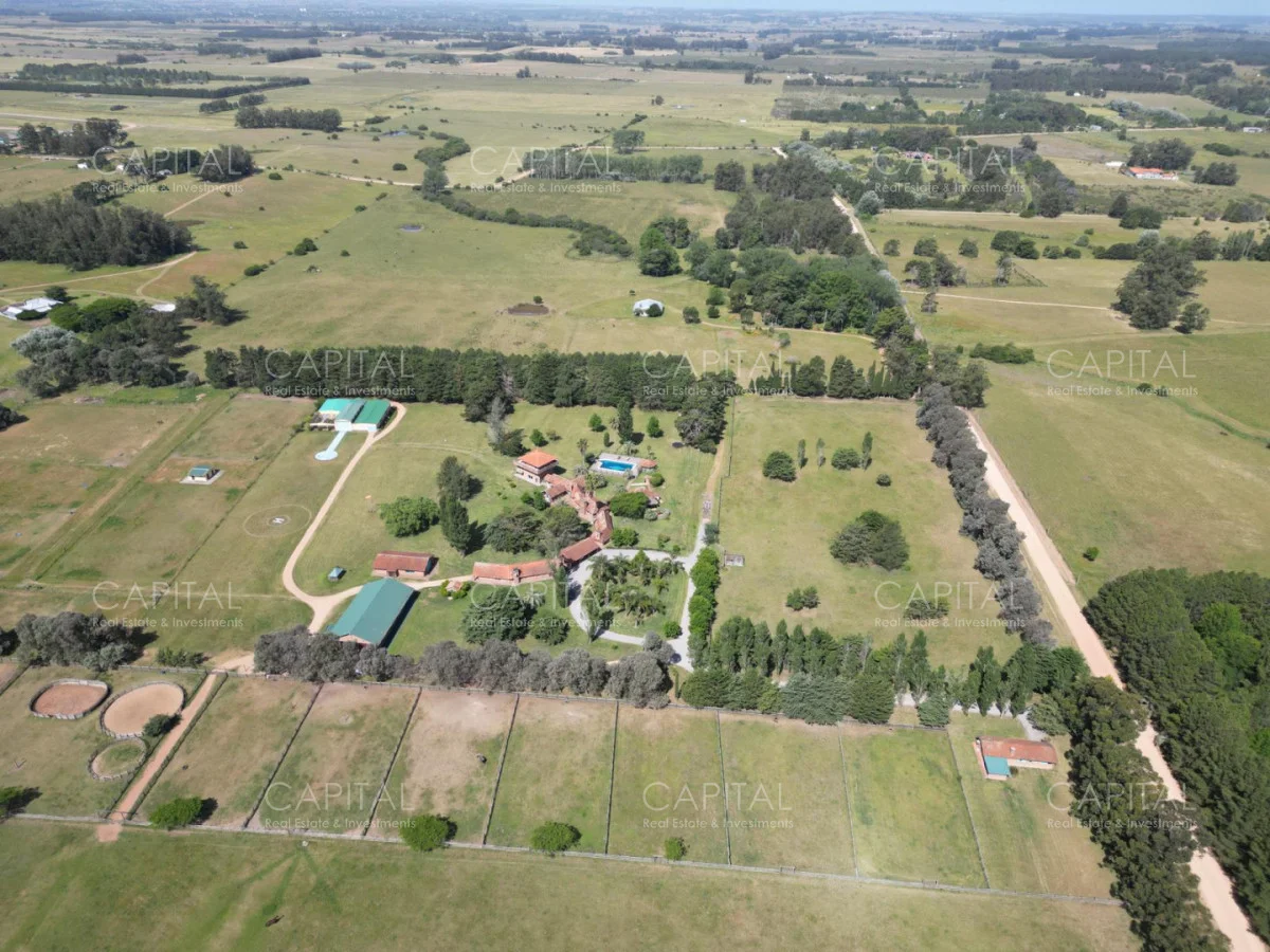 Chacra en Punta Ballena, propiedad 279565 -Imagen 3