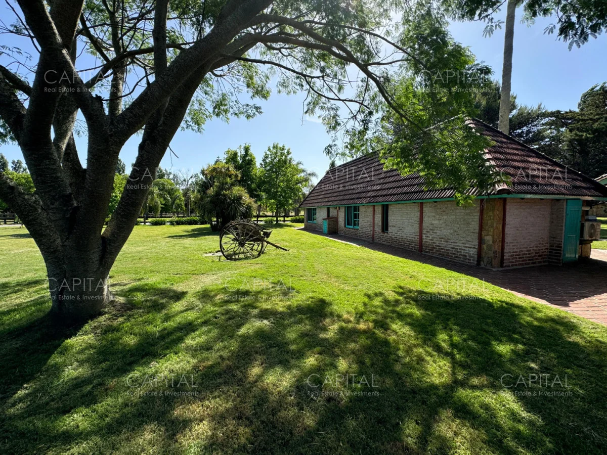 Chacra en Punta Ballena, propiedad 279565 -Imagen 6