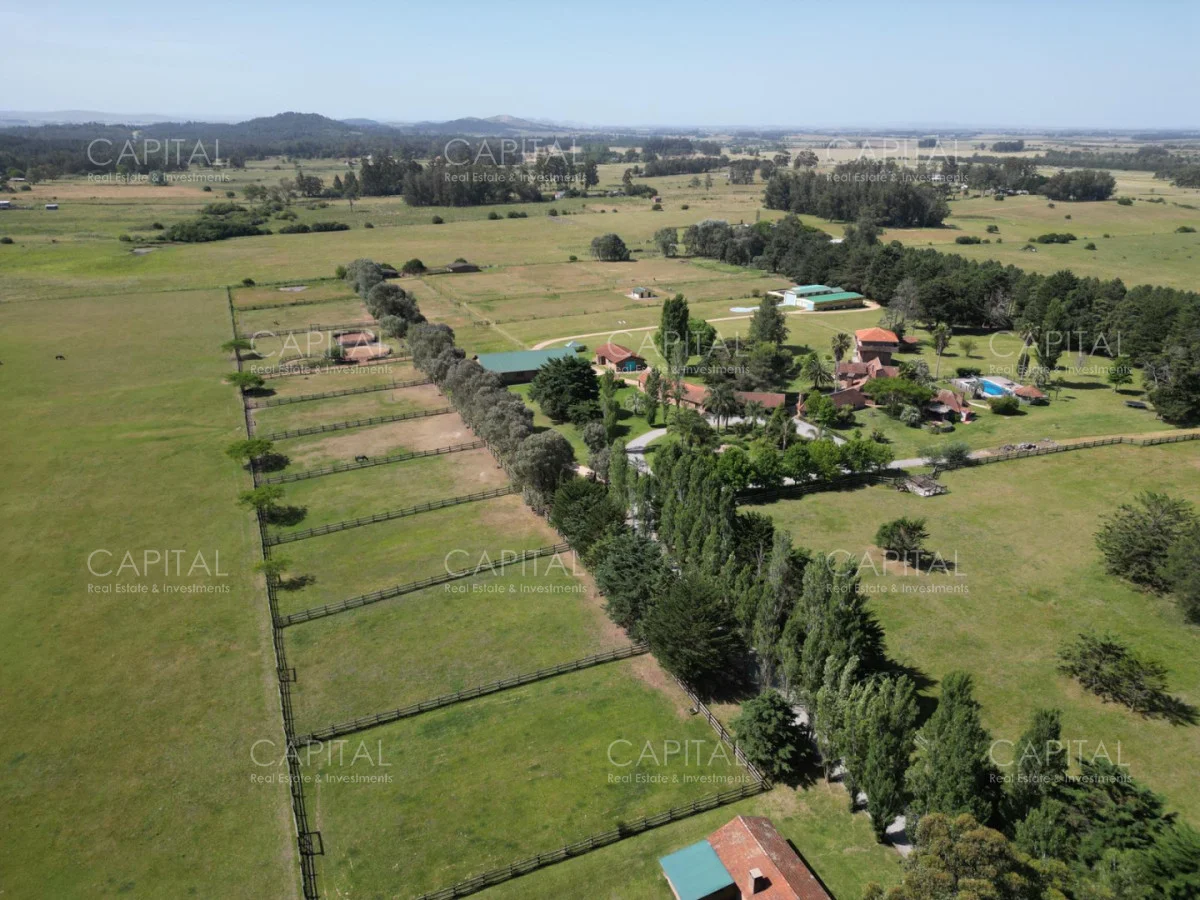 Chacra en Punta Ballena, propiedad 279565 -Imagen 7
