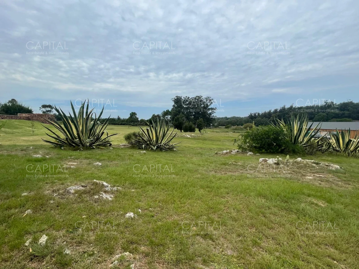 Terreno en Manantiales, propiedad 279576 -Imagen 5