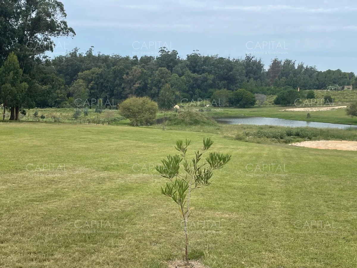 Terreno en Manantiales, propiedad 279577 -Imagen 3