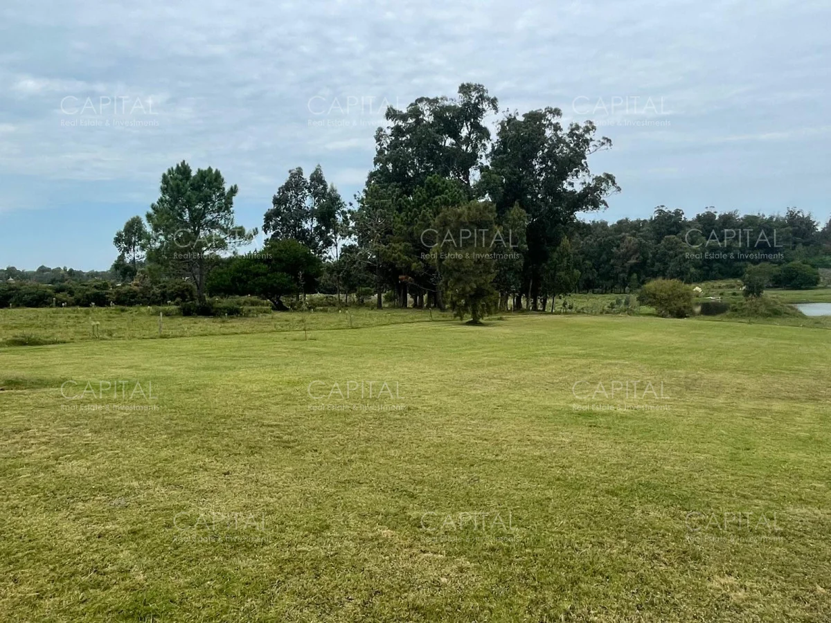 Terreno en Manantiales, propiedad 279577 -Imagen 4