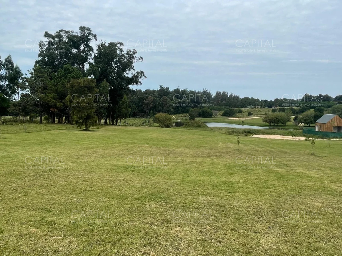 Terreno en Manantiales, propiedad 279577 -Imagen 5