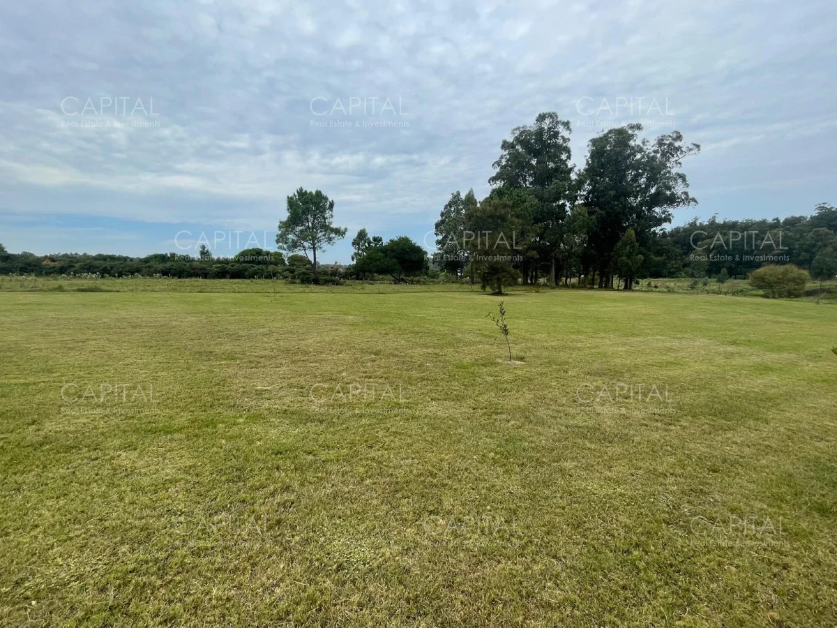 Terreno en Manantiales, propiedad 279577 -Imagen 6