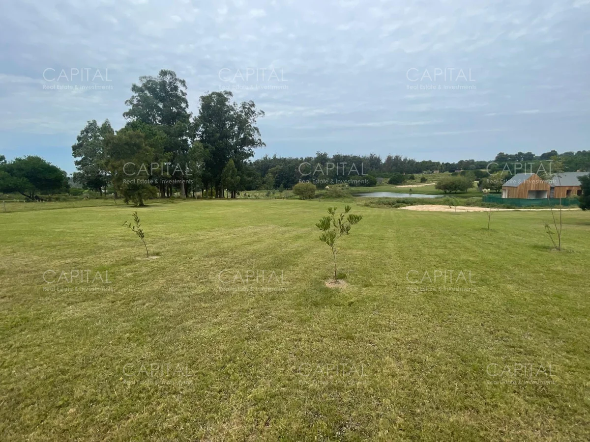 Terreno en Manantiales, propiedad 279577 -Imagen 7