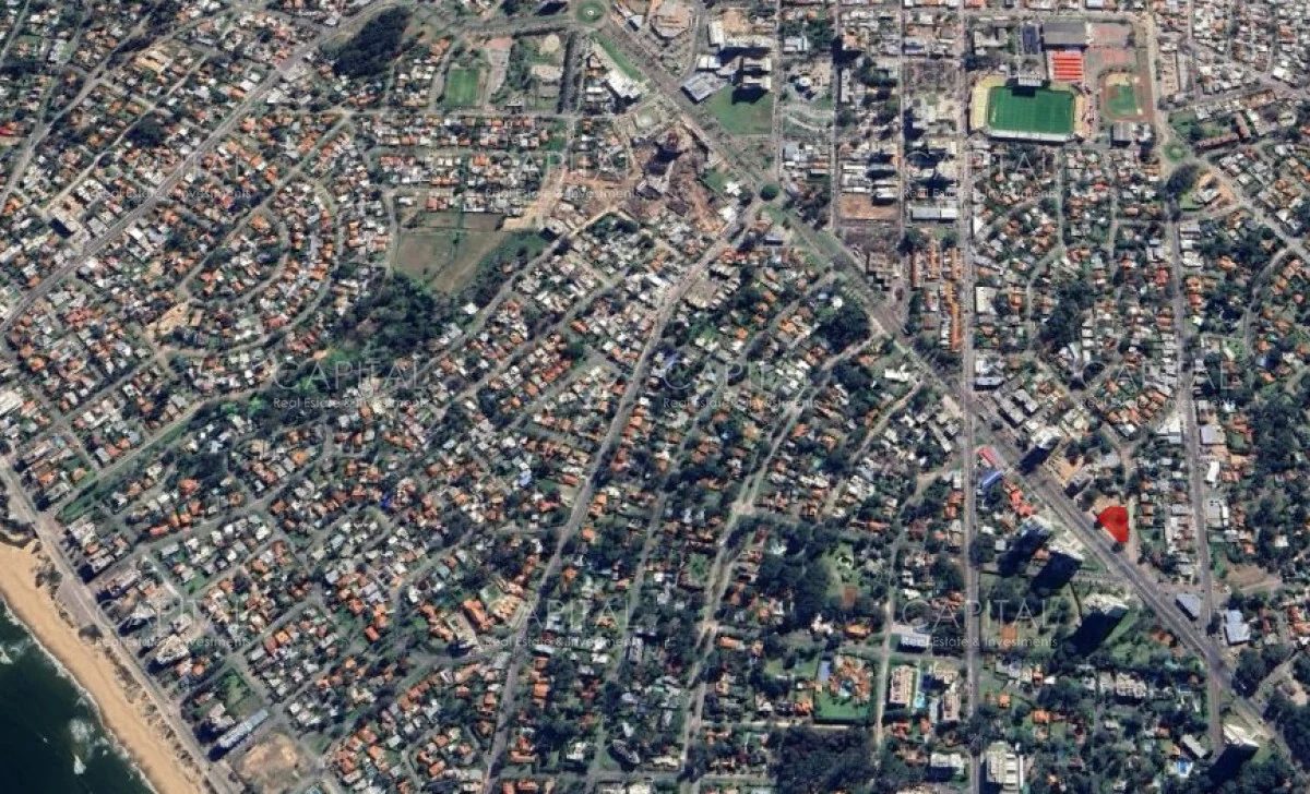 Terreno en Roosevelt, propiedad 279582 -Imagen 2