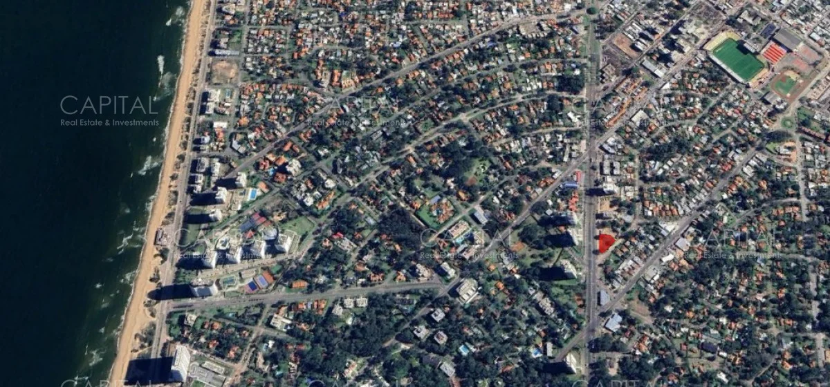 Terreno en Roosevelt, propiedad 279582 -Imagen 3