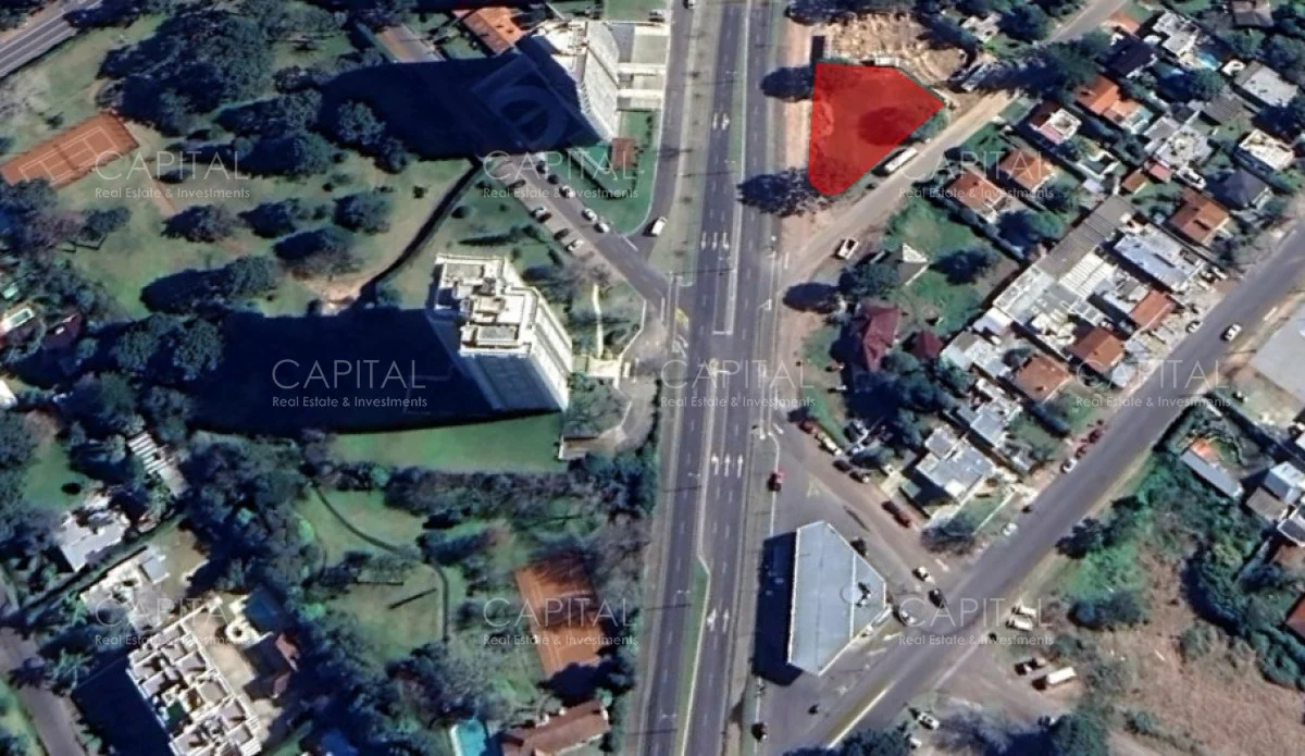 Terreno en Roosevelt, propiedad 279582 -Imagen 4