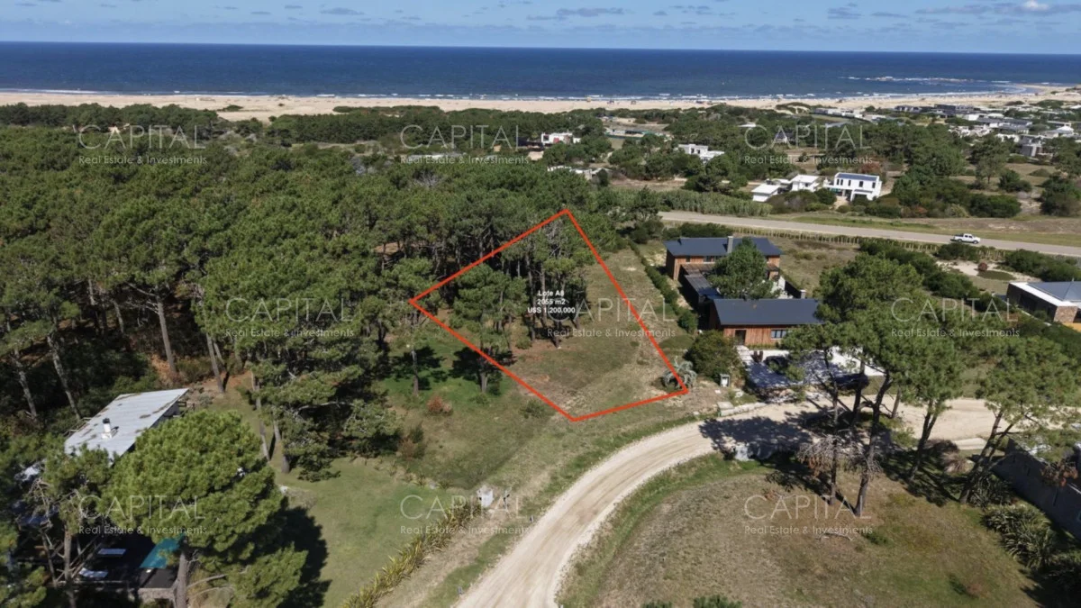 Terreno en Pinar del Faro, propiedad 279591 -Imagen 5