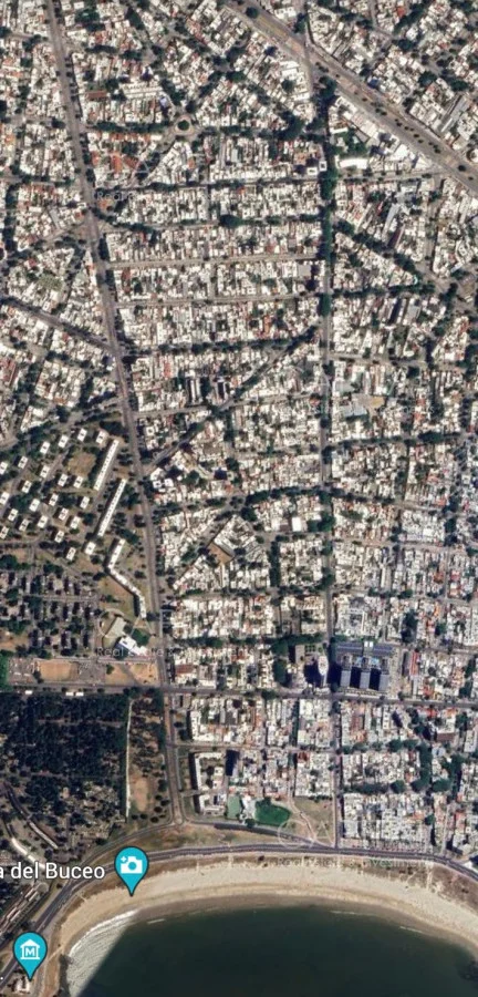 Depósito en Buceo, propiedad 279621 -Imagen 3