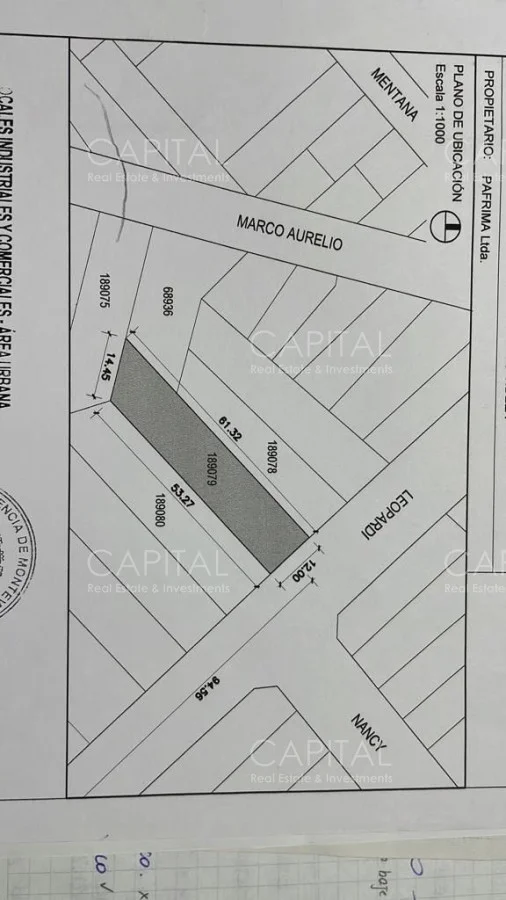 Depósito en Buceo, propiedad 279621 -Imagen 4