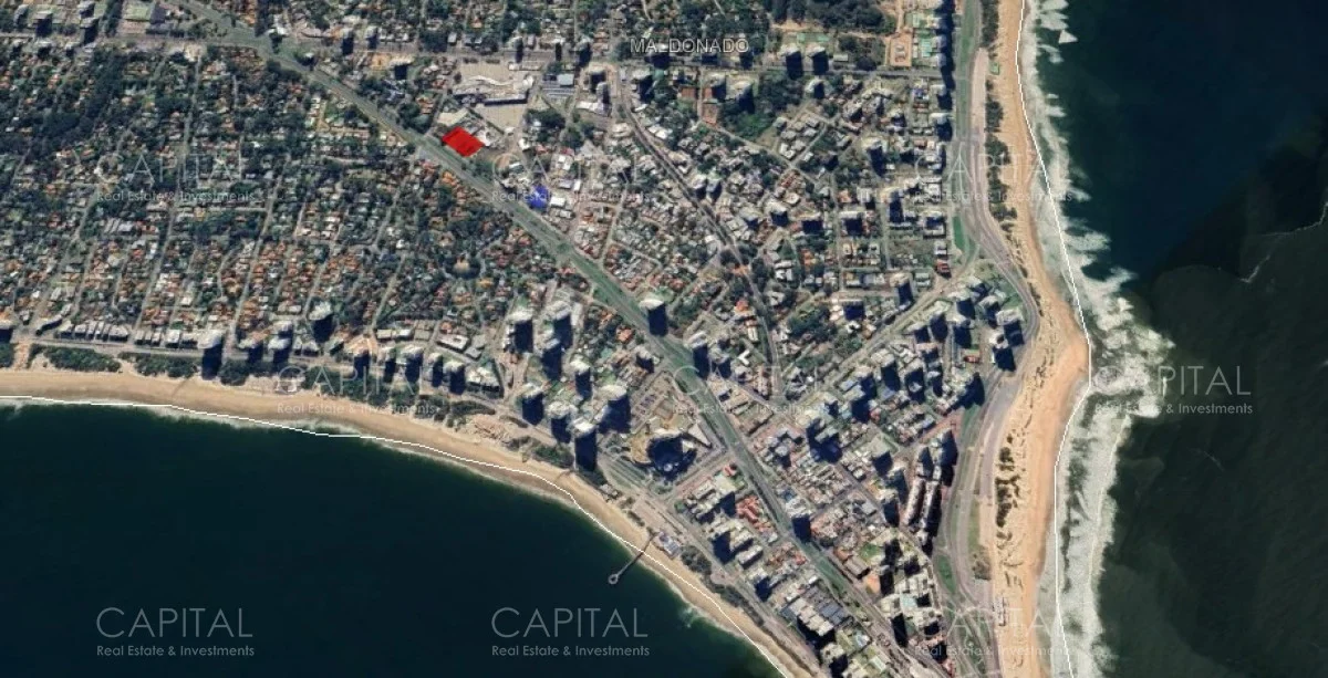 Terreno en Roosevelt, propiedad 279651 -Imagen 4