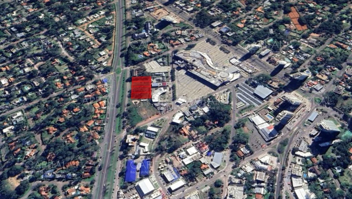 Terreno en Roosevelt, propiedad 279651 -Imagen 5