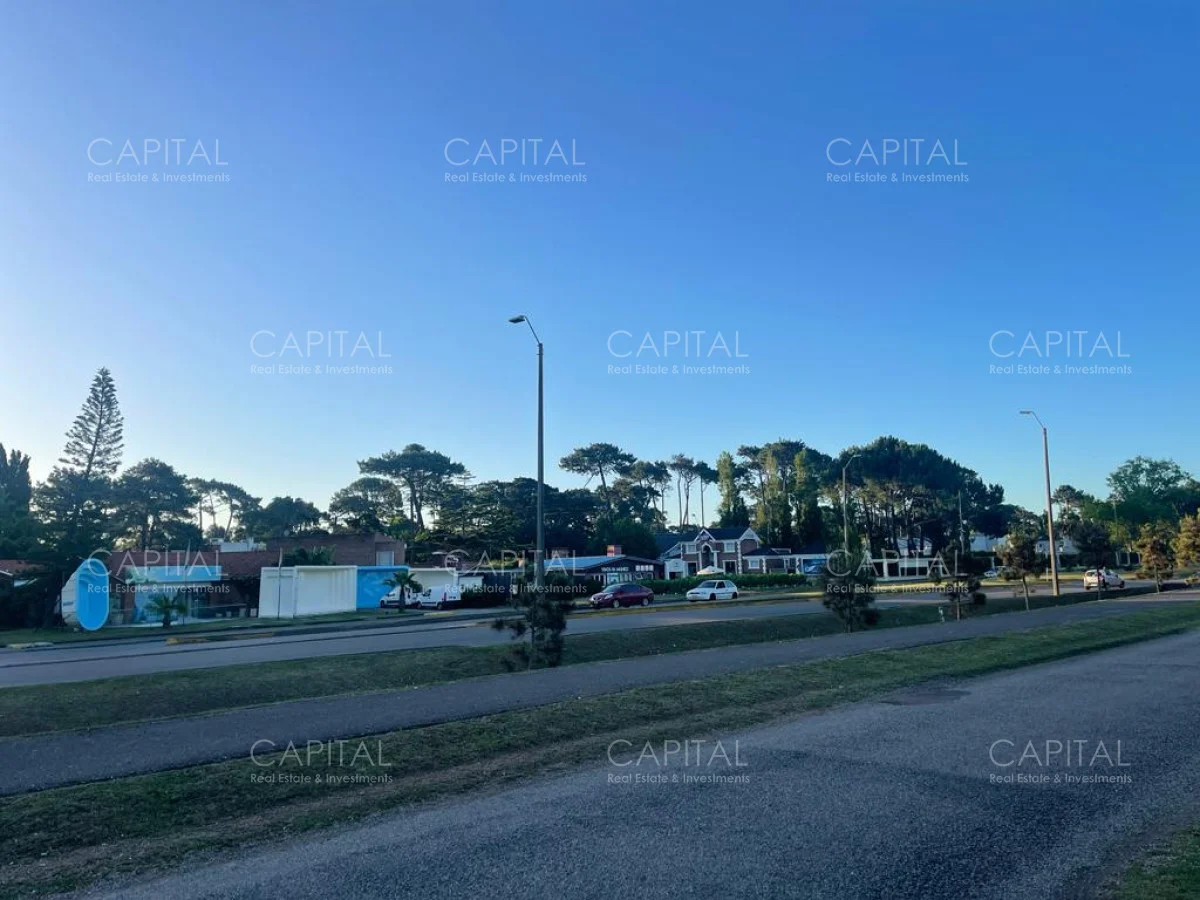 Terreno en Roosevelt, propiedad 279651 -Imagen 9