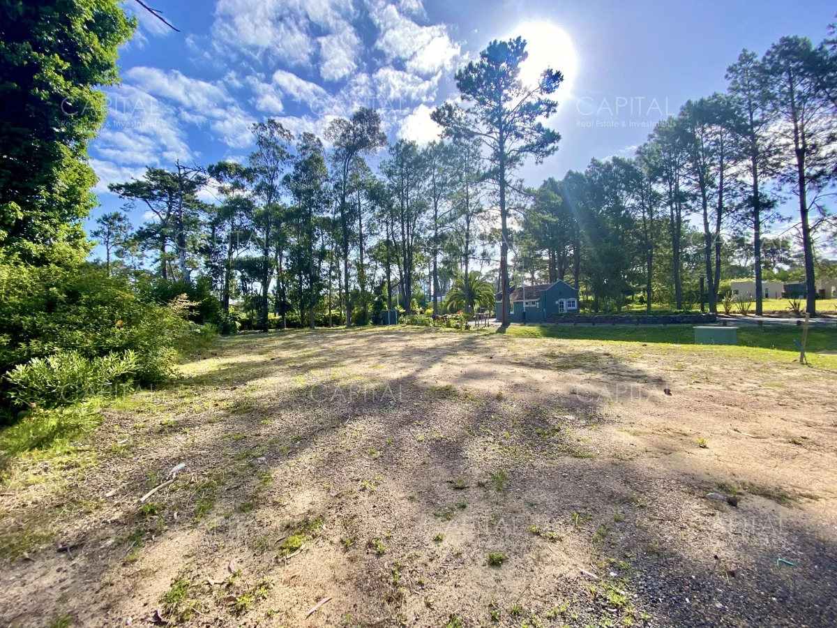 Terreno en Punta del Este, propiedad 279686 -Imagen 1