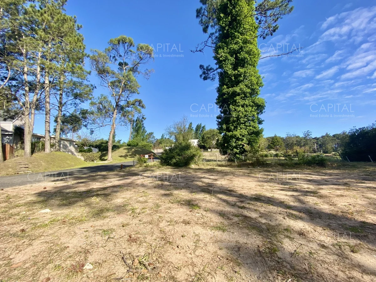 Terreno en Punta del Este, propiedad 279686 -Imagen 3