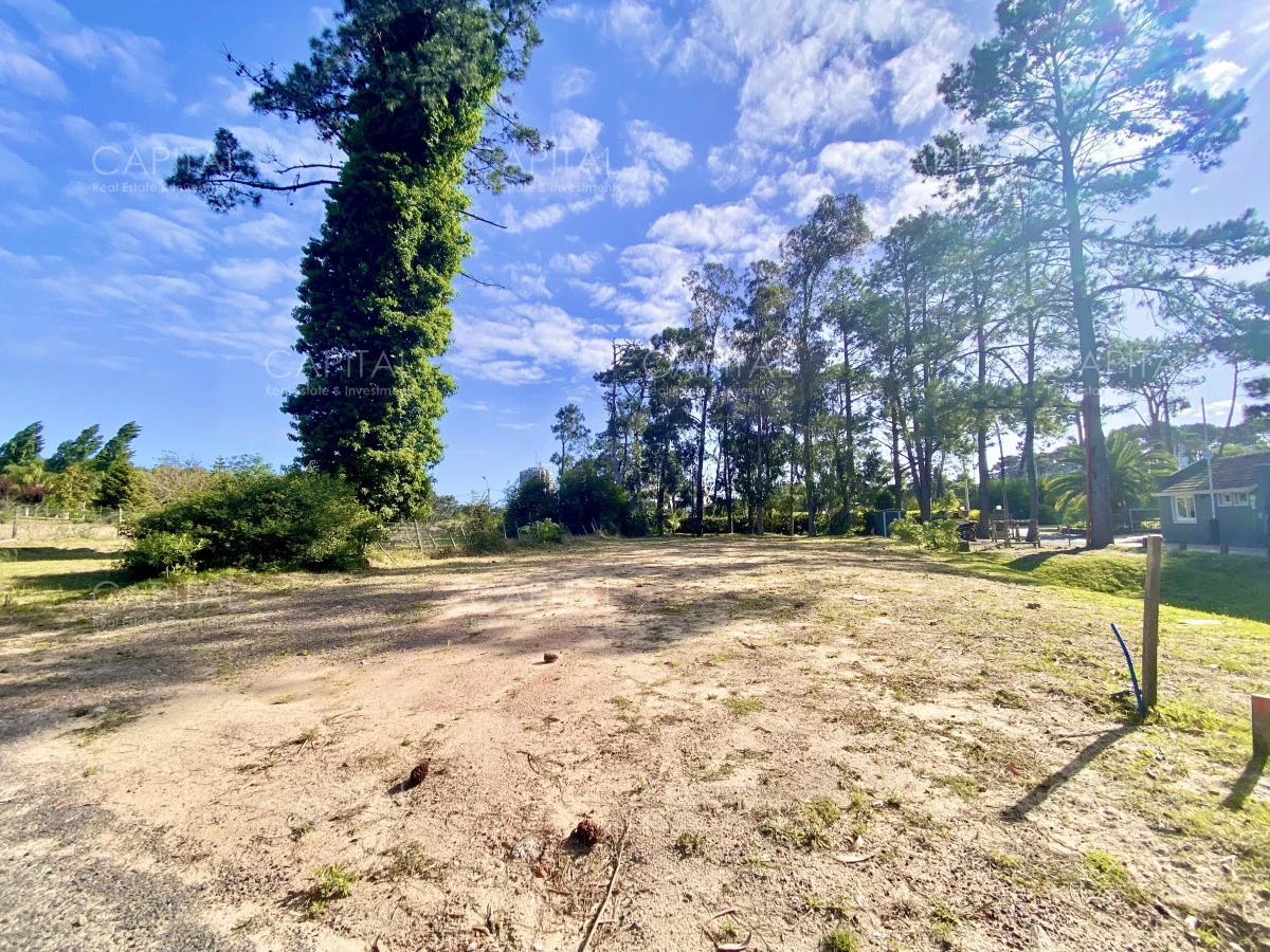 Terreno en Punta del Este, propiedad 279686 -Imagen 4