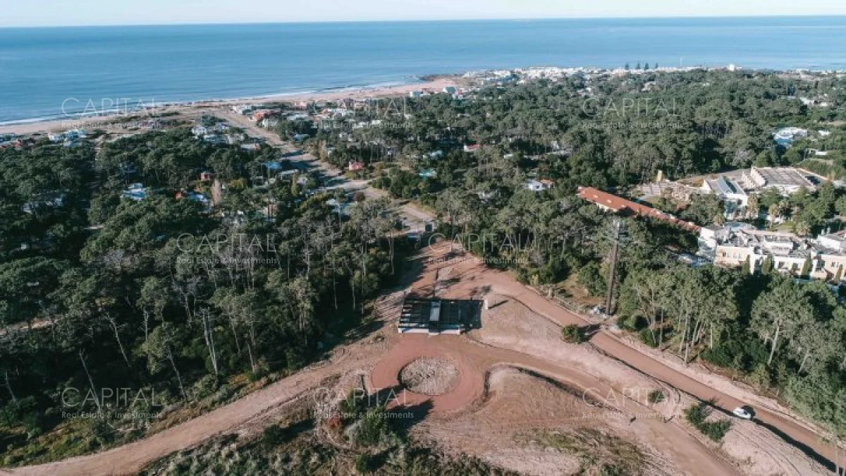 Terreno en Montoya, propiedad 279692 -Imagen 3