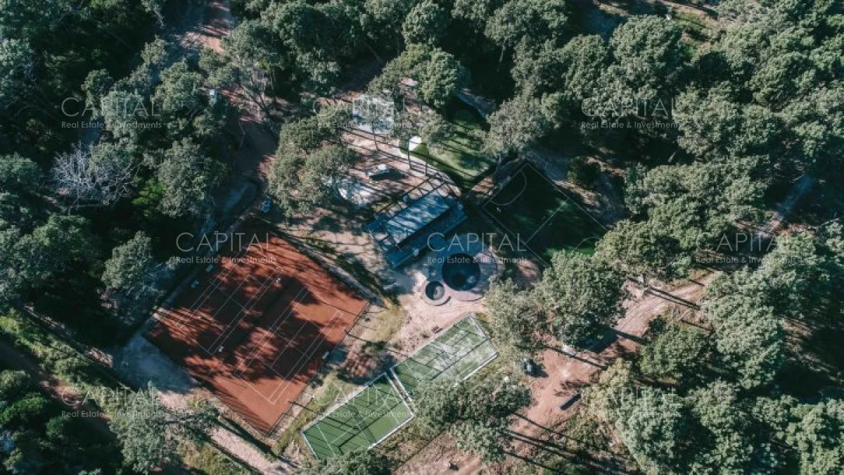 Terreno en Montoya, propiedad 279692 -Imagen 7